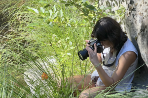 Butterfly photograph